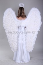 1870 крылья ангела