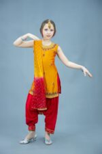 03917 Индийский костюм «Савитри 04»