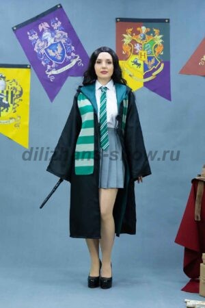 04419 Слизерин