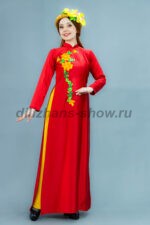 05091 Вьетнамский женский костюм